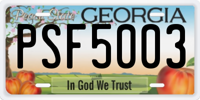 GA license plate PSF5003