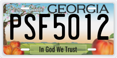 GA license plate PSF5012