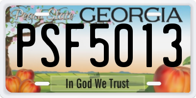 GA license plate PSF5013