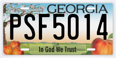 GA license plate PSF5014