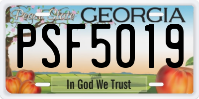 GA license plate PSF5019