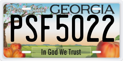 GA license plate PSF5022