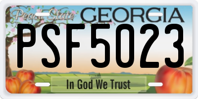 GA license plate PSF5023