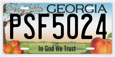 GA license plate PSF5024