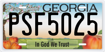 GA license plate PSF5025