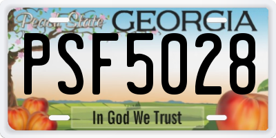 GA license plate PSF5028