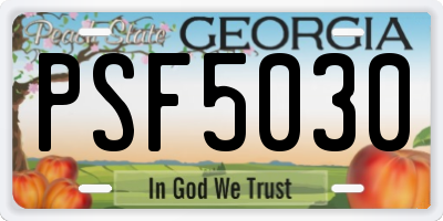 GA license plate PSF5030