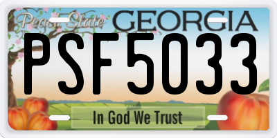 GA license plate PSF5033