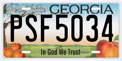 GA license plate PSF5034