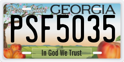 GA license plate PSF5035