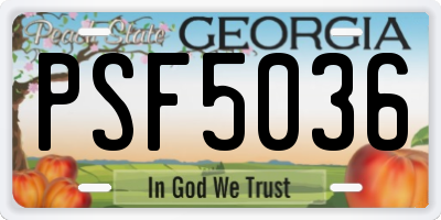 GA license plate PSF5036