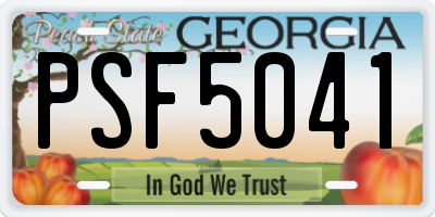 GA license plate PSF5041