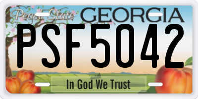 GA license plate PSF5042