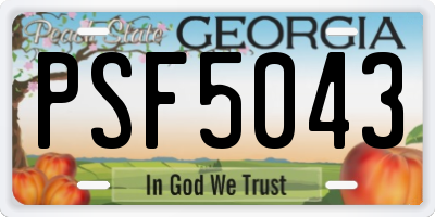 GA license plate PSF5043