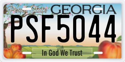 GA license plate PSF5044