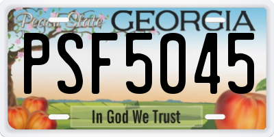 GA license plate PSF5045