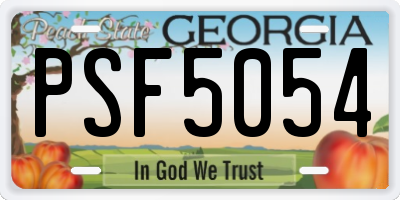 GA license plate PSF5054