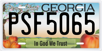 GA license plate PSF5065
