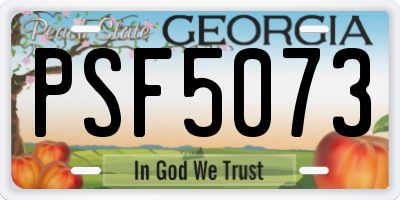 GA license plate PSF5073