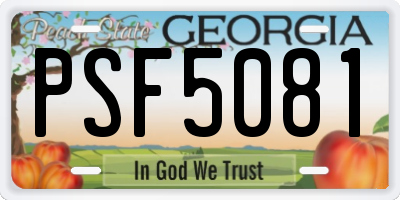 GA license plate PSF5081