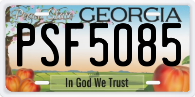 GA license plate PSF5085