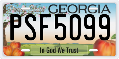 GA license plate PSF5099