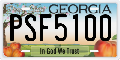 GA license plate PSF5100