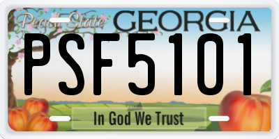 GA license plate PSF5101
