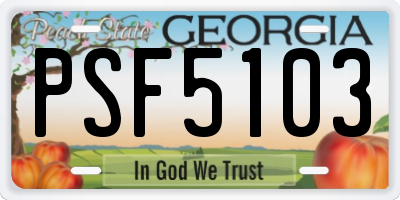GA license plate PSF5103
