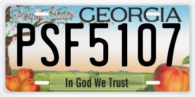 GA license plate PSF5107