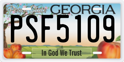 GA license plate PSF5109