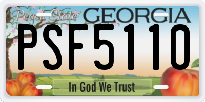 GA license plate PSF5110