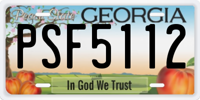 GA license plate PSF5112
