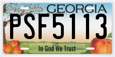 GA license plate PSF5113