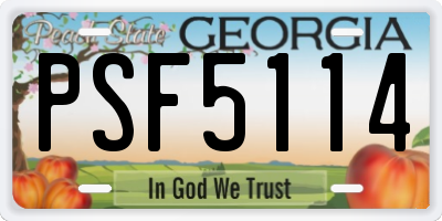 GA license plate PSF5114