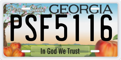 GA license plate PSF5116