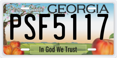 GA license plate PSF5117