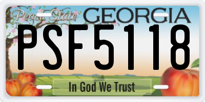 GA license plate PSF5118