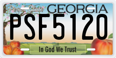 GA license plate PSF5120