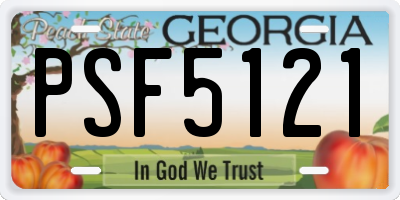 GA license plate PSF5121