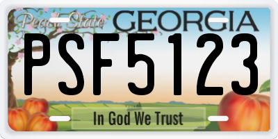 GA license plate PSF5123