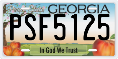 GA license plate PSF5125