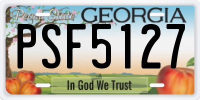 GA license plate PSF5127