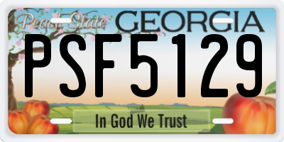 GA license plate PSF5129