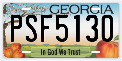 GA license plate PSF5130