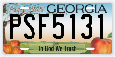 GA license plate PSF5131