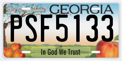 GA license plate PSF5133
