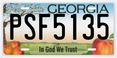 GA license plate PSF5135