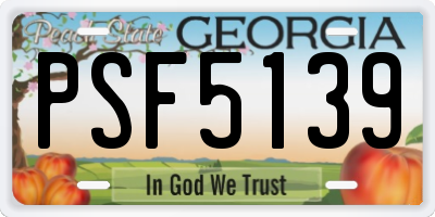 GA license plate PSF5139