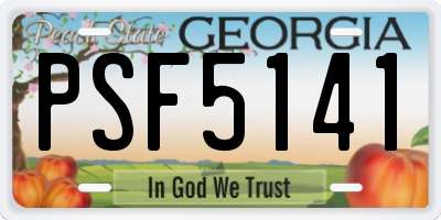 GA license plate PSF5141